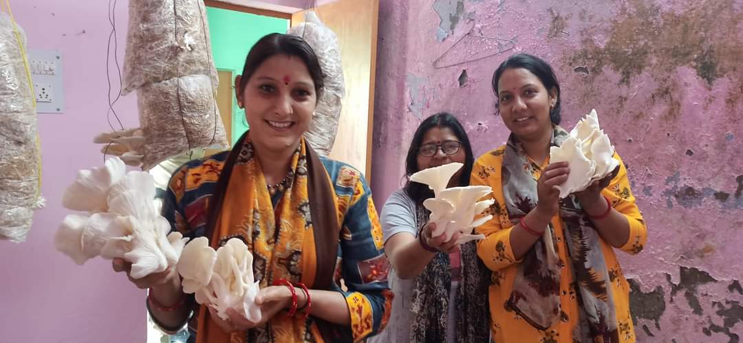 fb img 1666619535113 (1)