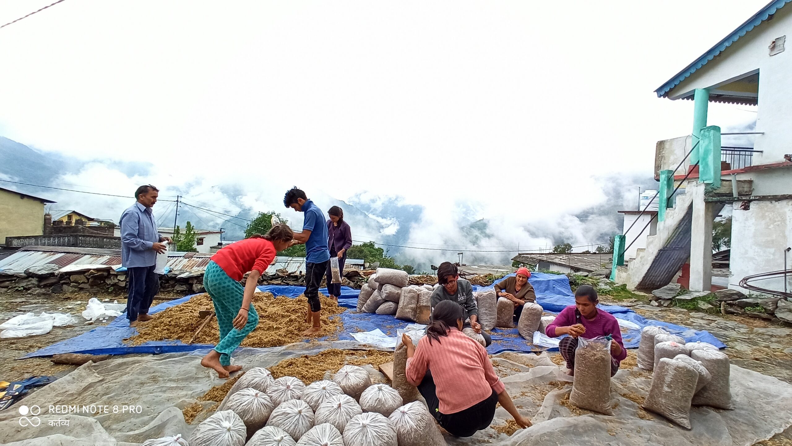 img 20200531 151259 (1)